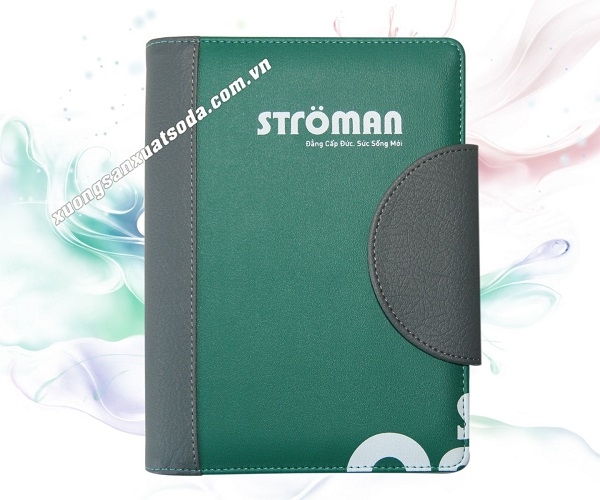 Green leather notebook